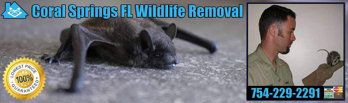 Coral Springs Wildlife and Animal Removal
